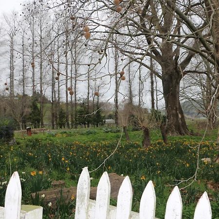 The Leafy Flat Daire Havelock North Dış mekan fotoğraf