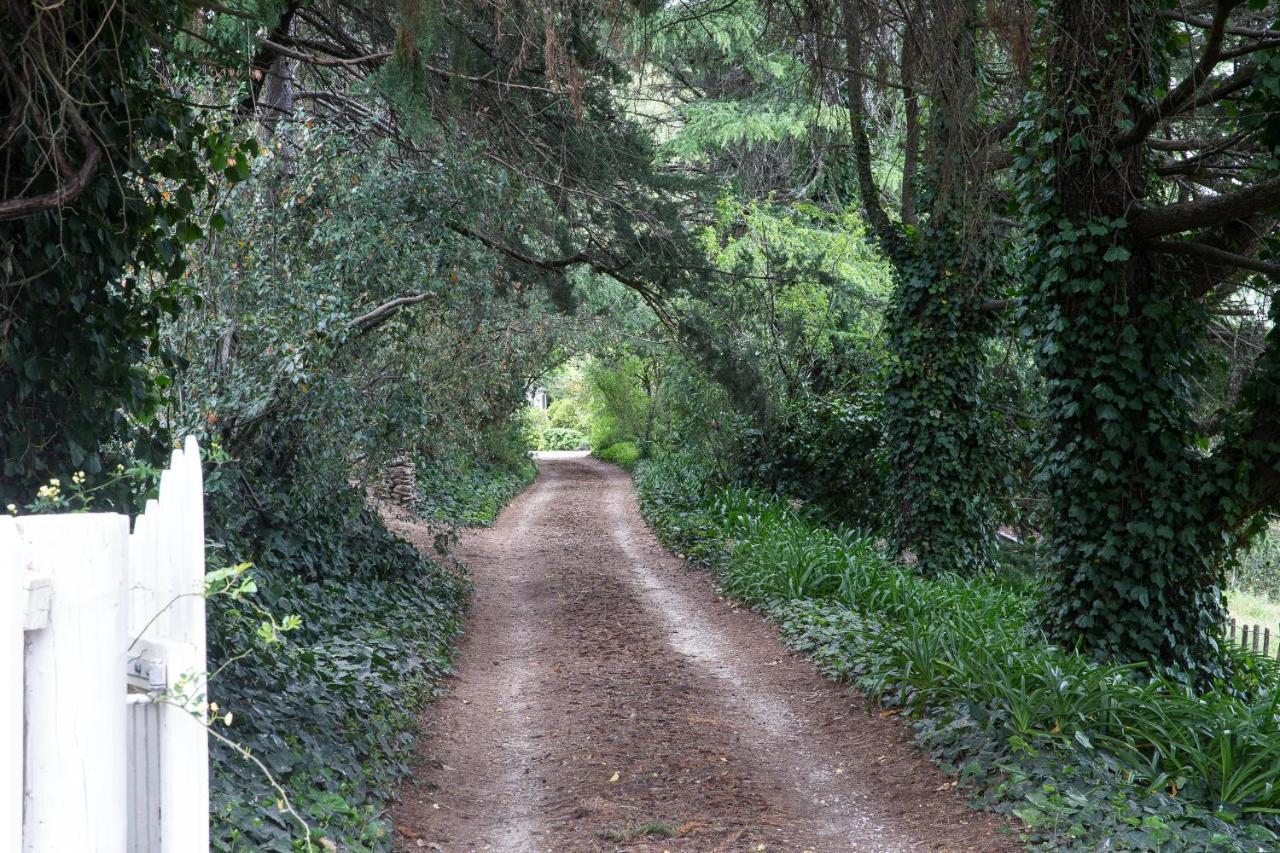 The Leafy Flat Daire Havelock North Dış mekan fotoğraf