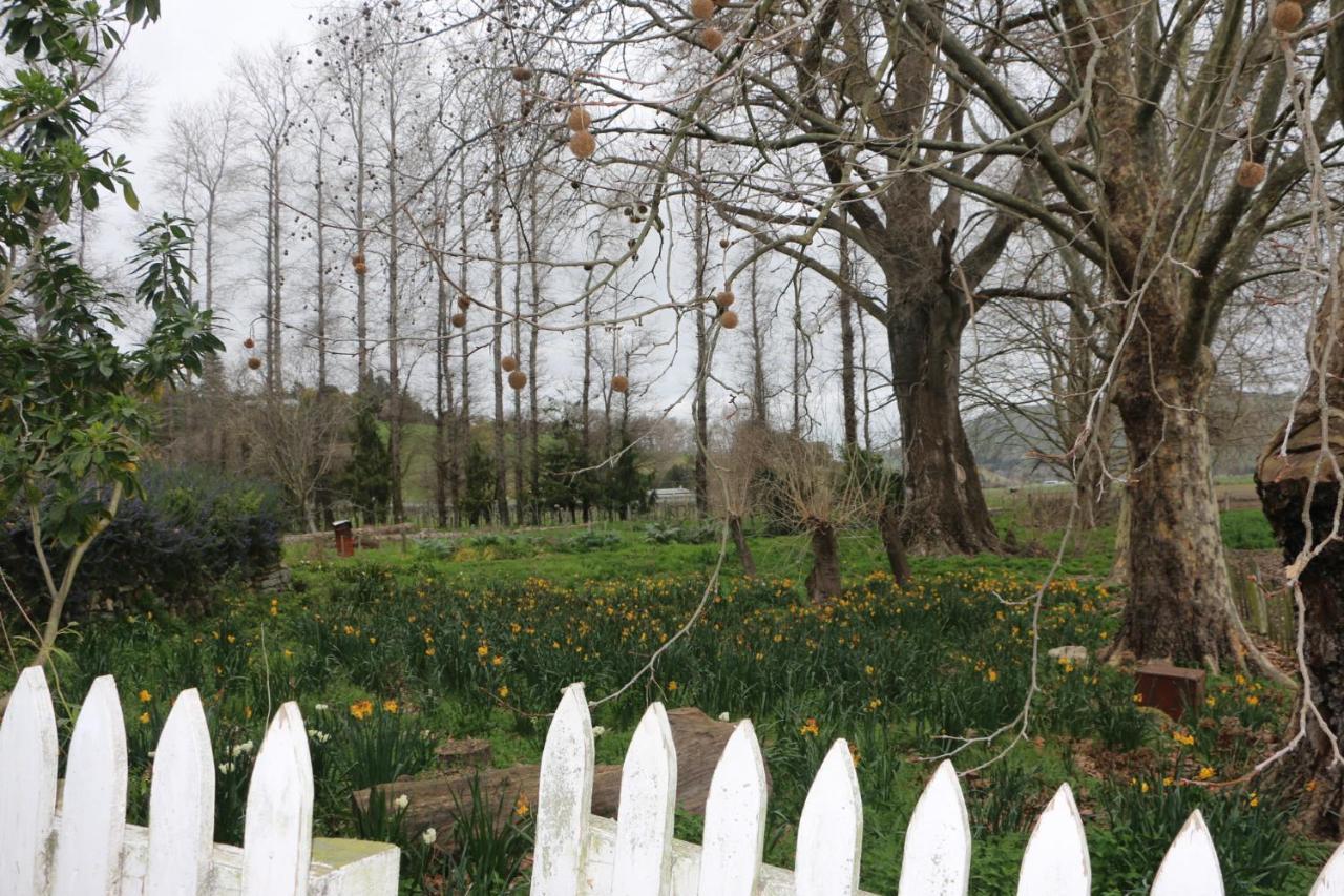The Leafy Flat Daire Havelock North Dış mekan fotoğraf